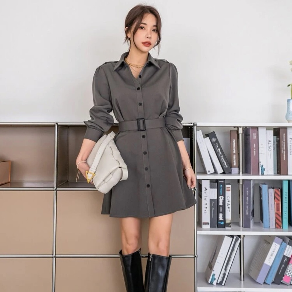 Gray button down belted dress